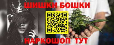 шишки Усть-Илимск