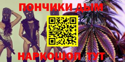 шишки Усть-Илимск