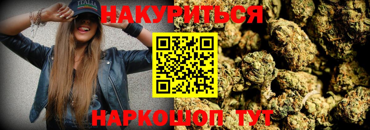 Конопля сатива Заволжье